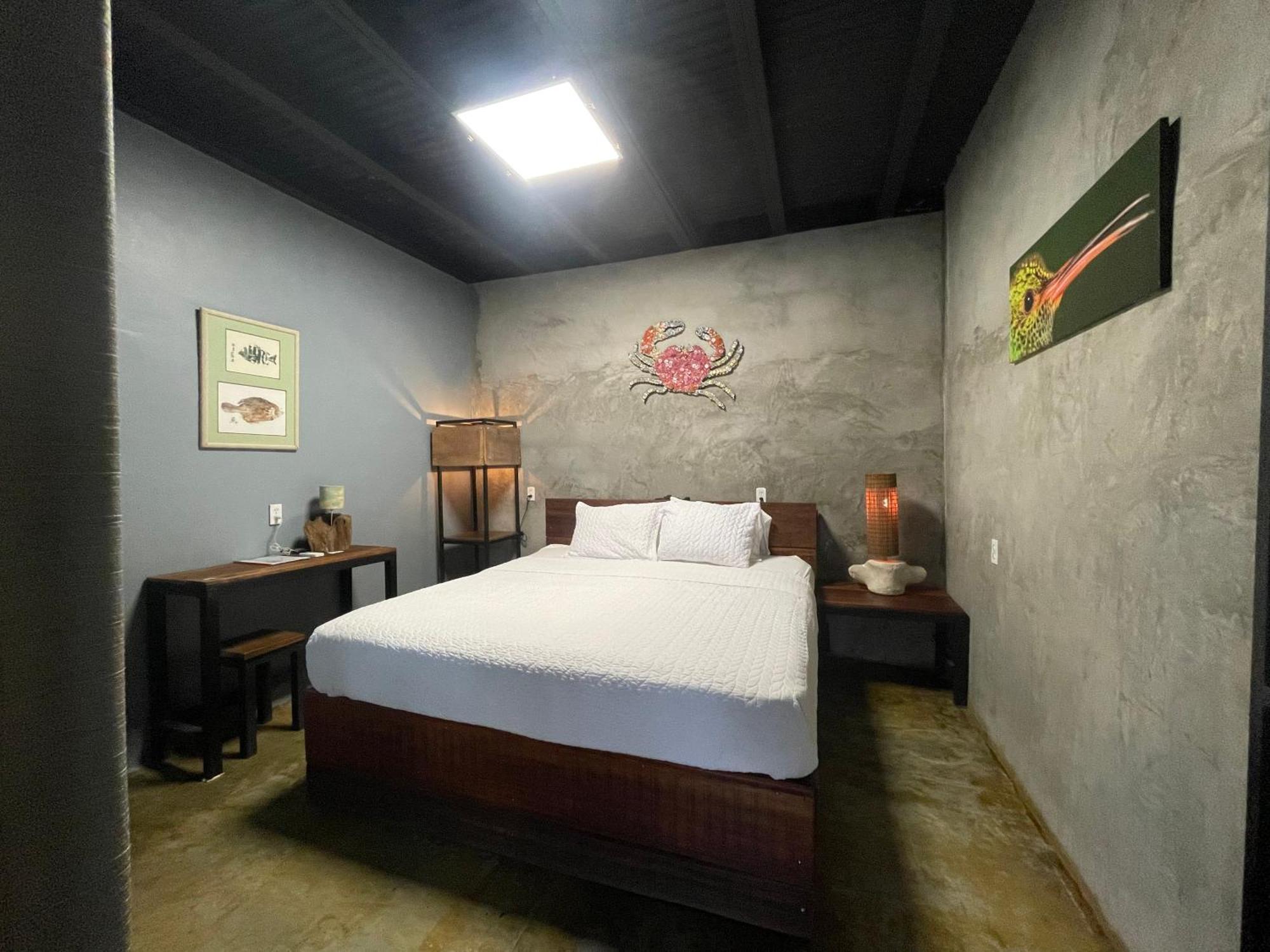 San Carlos Surf Resort & Eco Lodge المظهر الخارجي الصورة